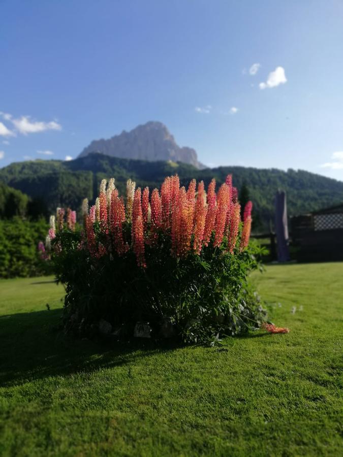 Ferienwohnung Cedepuent De Sot Wolkenstein in Gröden Exterior foto